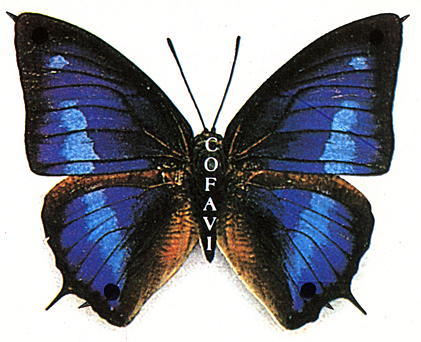 COFAVI